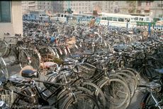 China (130 von 257).jpg